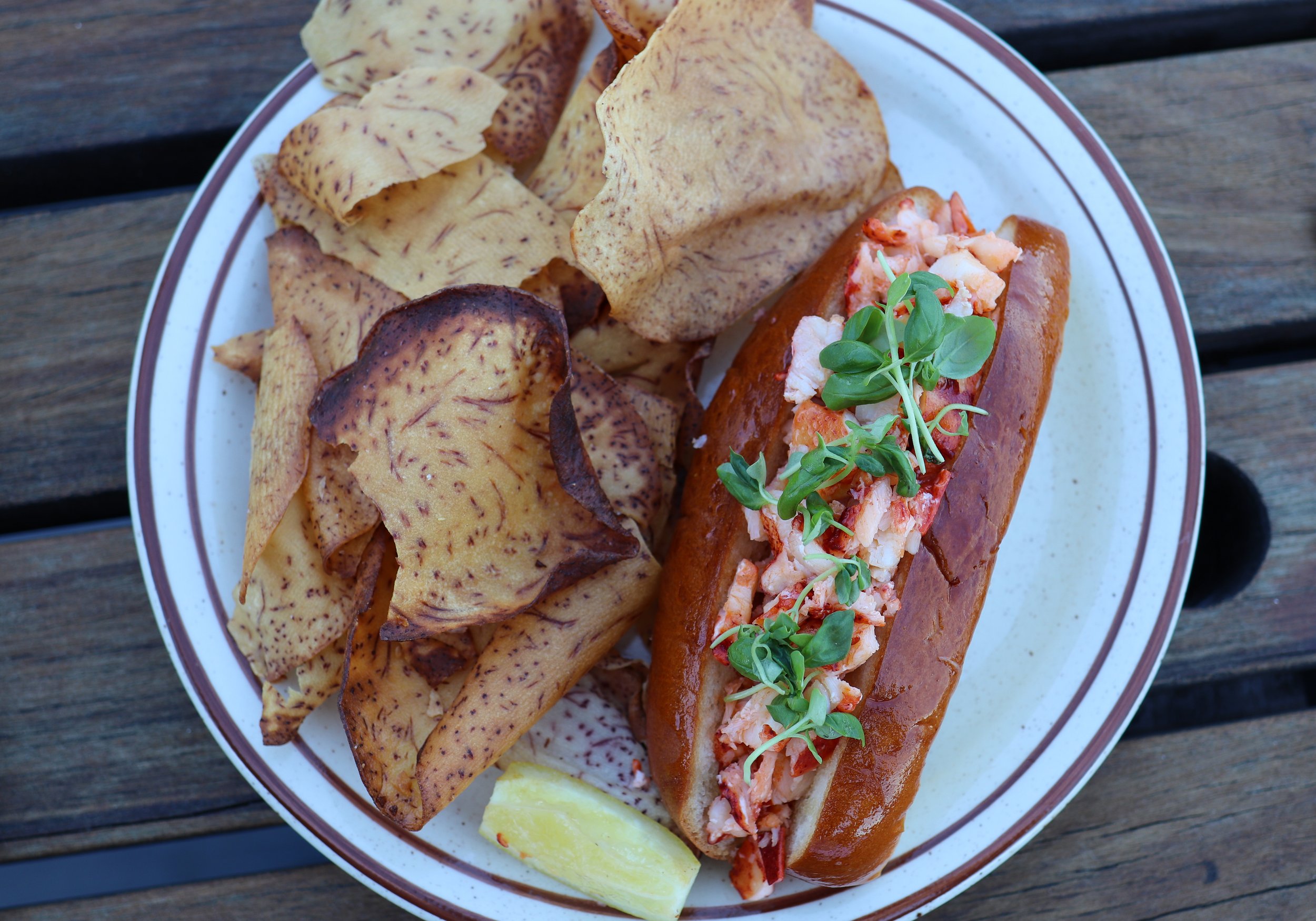 Phase Two: The Haven Opens Rooftop Restaurant + Bar in Norwalk