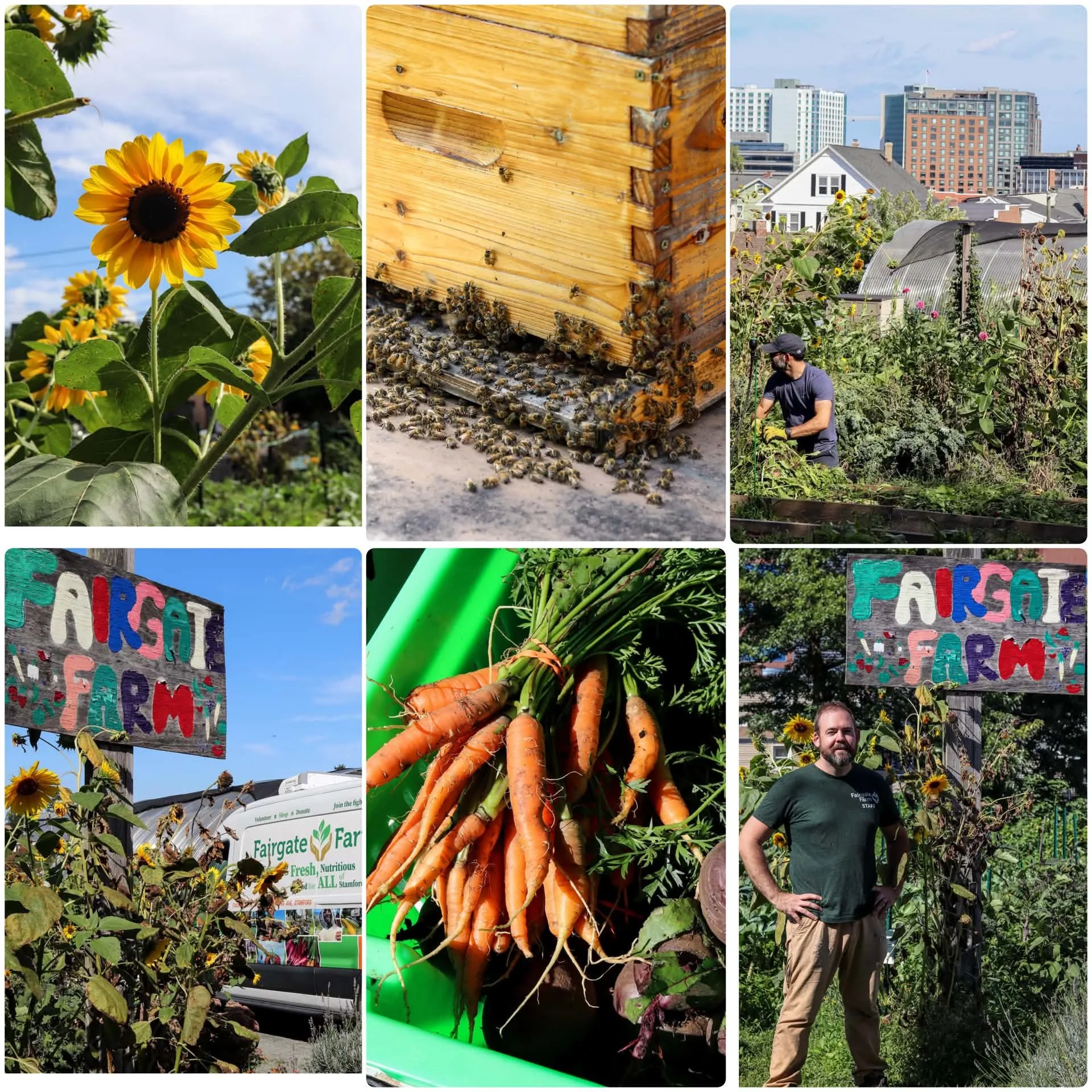 Fairgate Farm: A Small Urban Farm in Stamford with a Big Heart 