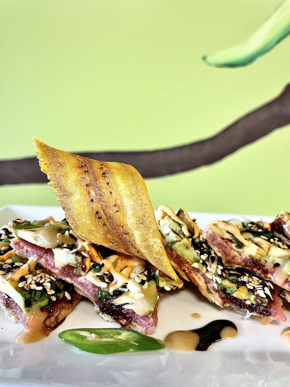 Alma Bistro Cocina Latina Opens in Norwalk With Delicious NuevoLatino