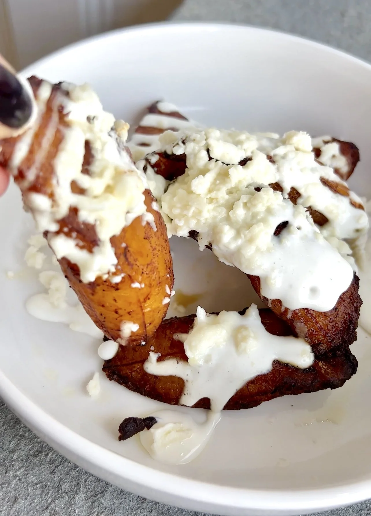 Alma Bistro Cocina Latina Opens in Norwalk With Delicious NuevoLatino