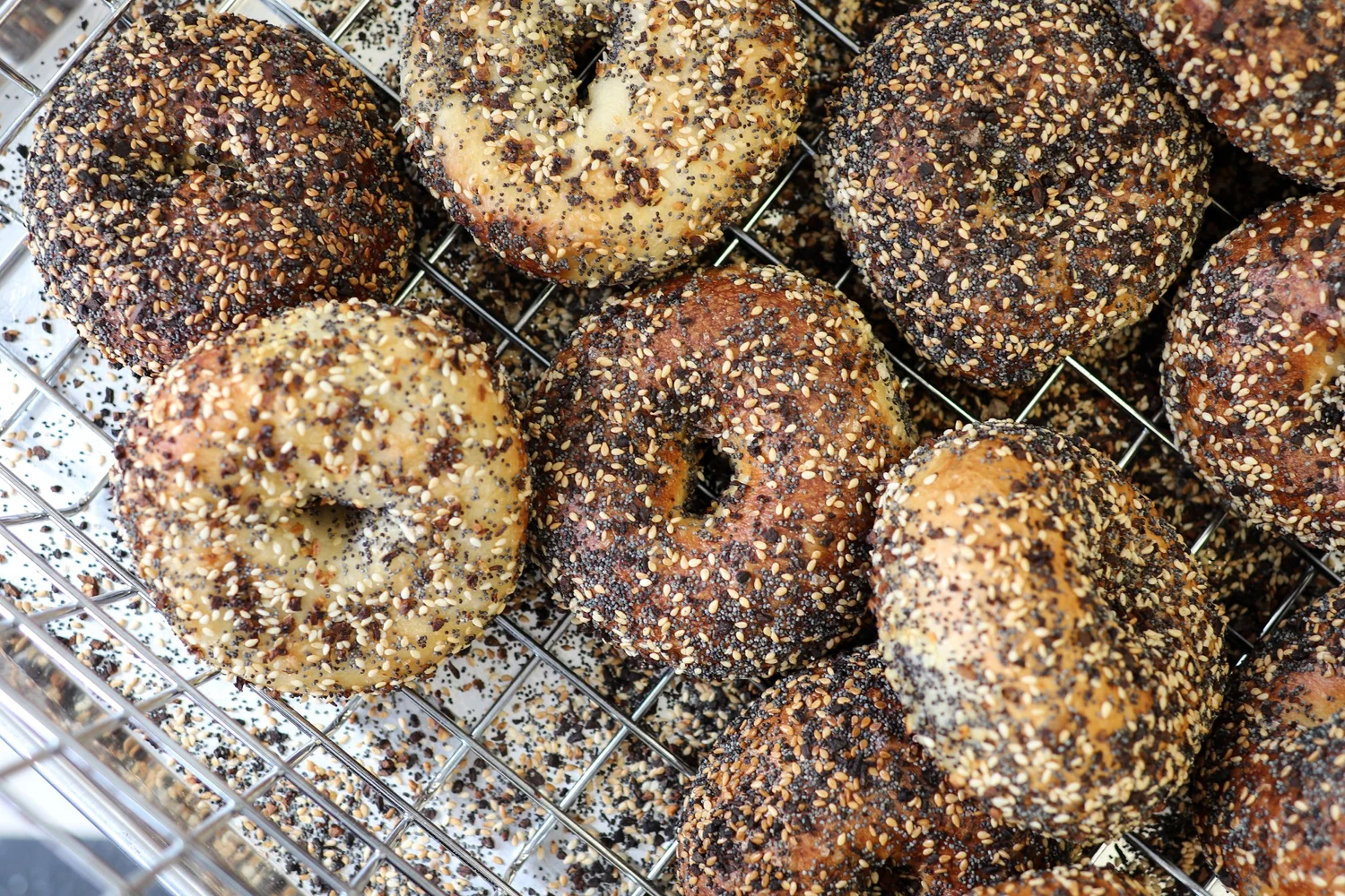 PopUp Bagels Opens in Greenwich and More Expansion News — CT Bites