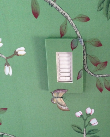 de Gournay Switch plate