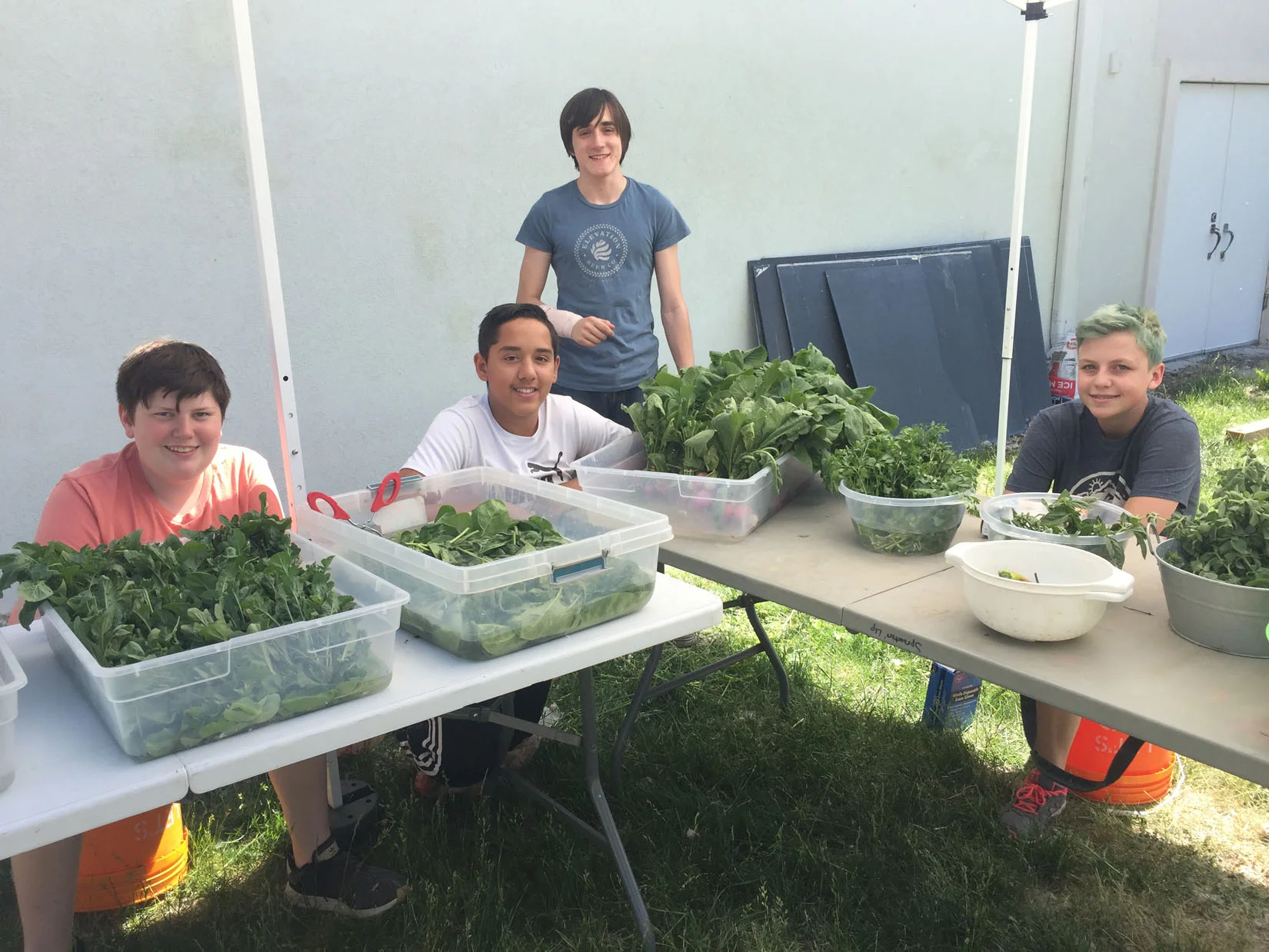 At our CSA Farm, teens learn how to communicate with customers, grow food, and work hard.