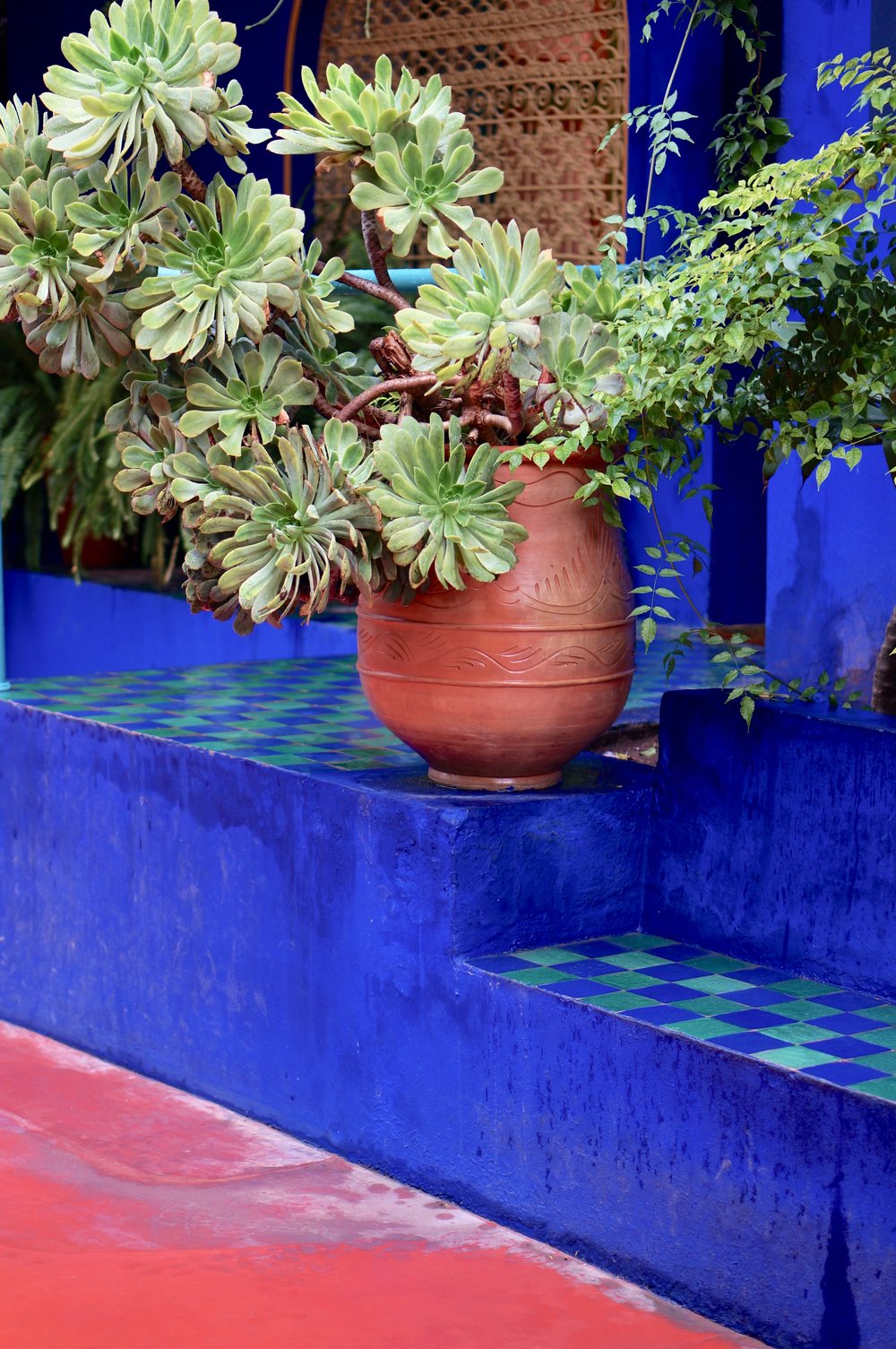 Jardin Majorelle