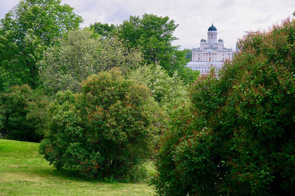 Tähtitornin puisto, Helsinki