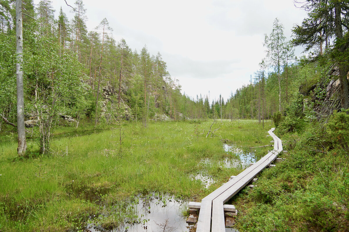 Julma Ölkky, Hossa