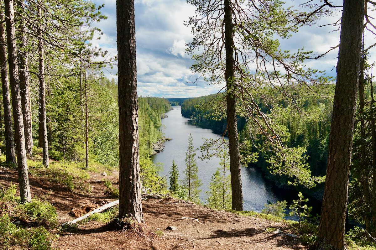 Julma Ölkky, Hossa