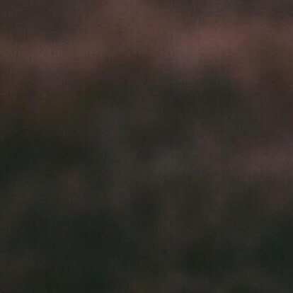 TODAY! ELEVATE - 7:30 PM
Don&rsquo;t miss it!