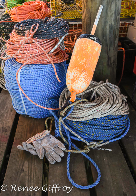 fishing gear-1.jpg