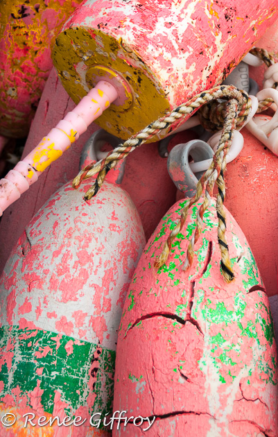 Pink Buoys-1.jpg