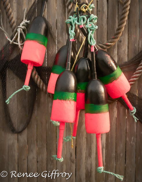 Buoys on the fence-1.jpg