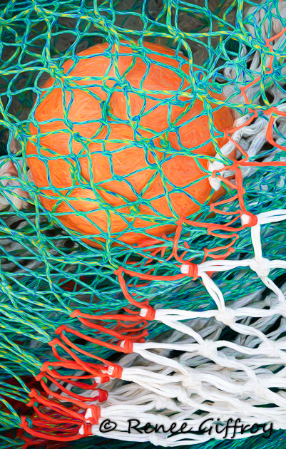 Orange Buoy in net for web-1.jpg