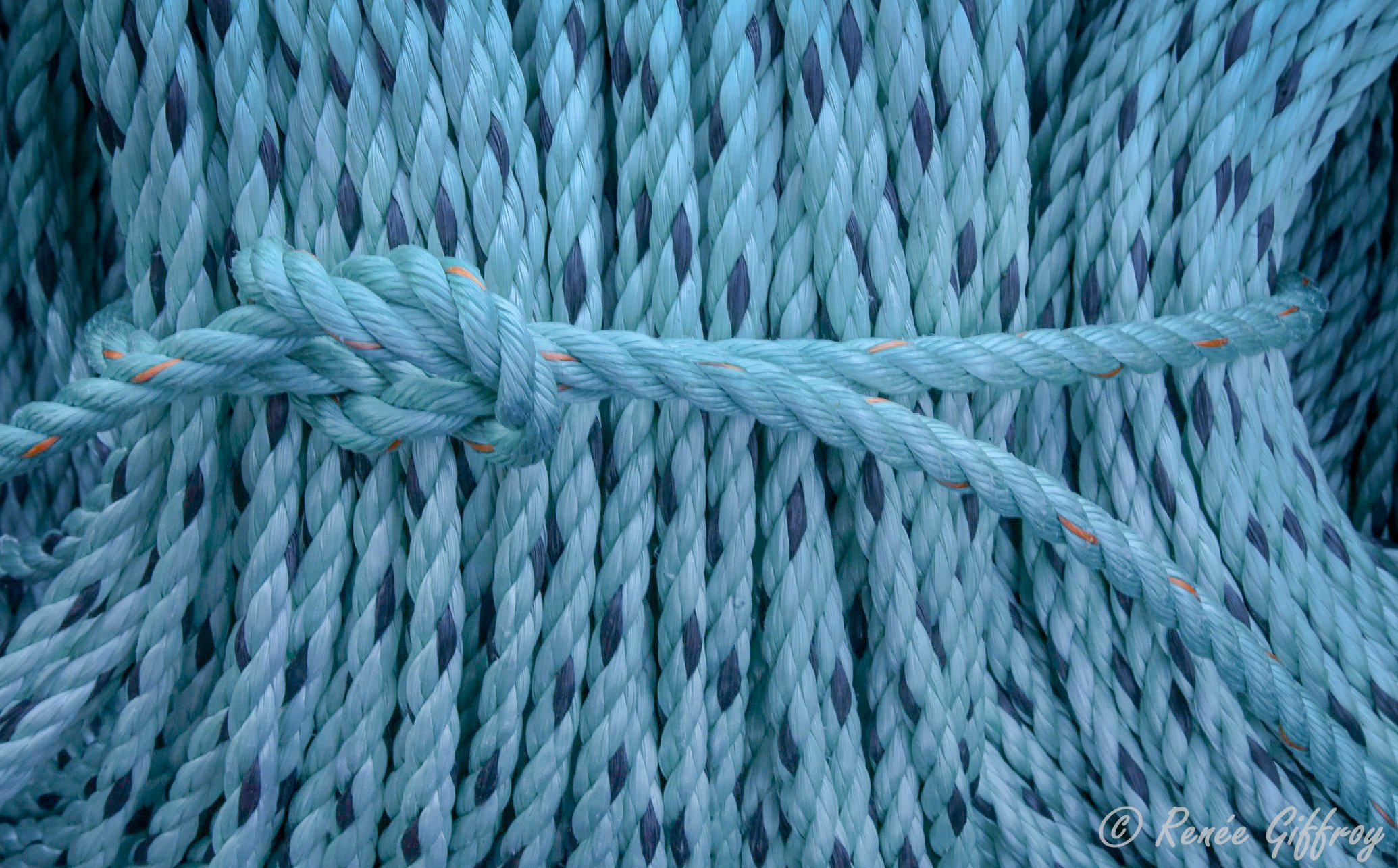 Blue ropes for web.jpg