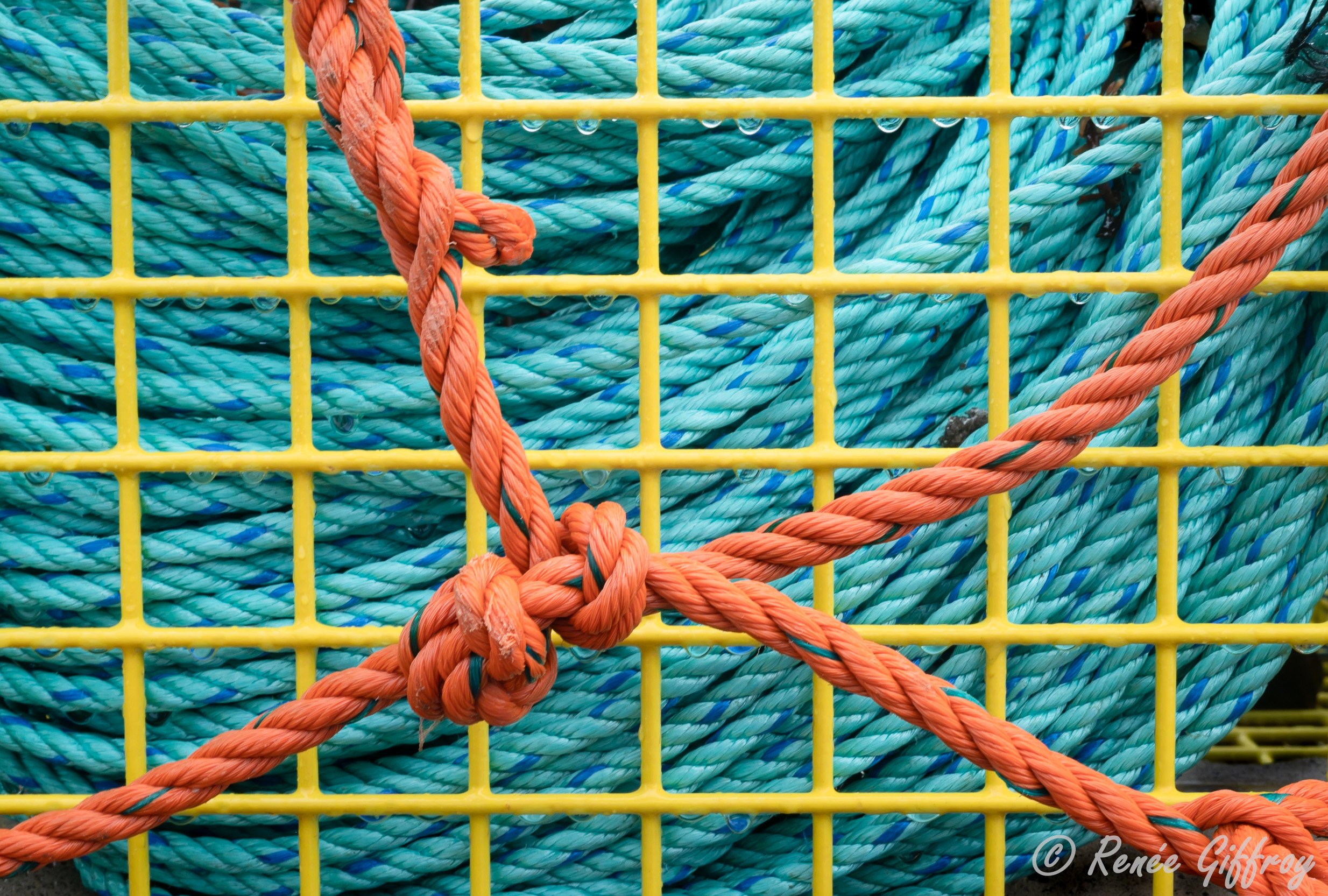 Ropes, Boats, and Buoys — Renée Giffroy Photography