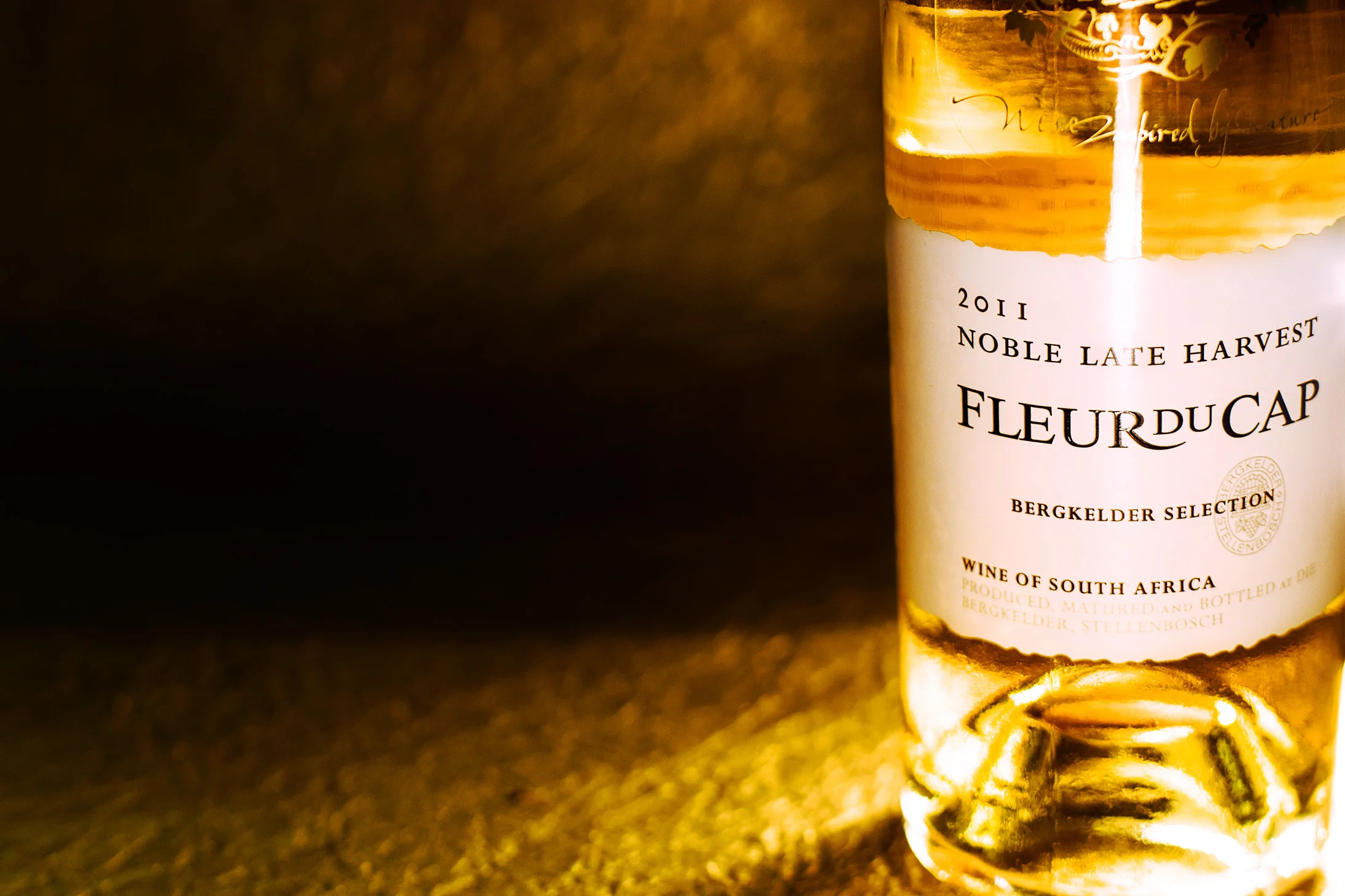 Fleur-du-cap.jpg
