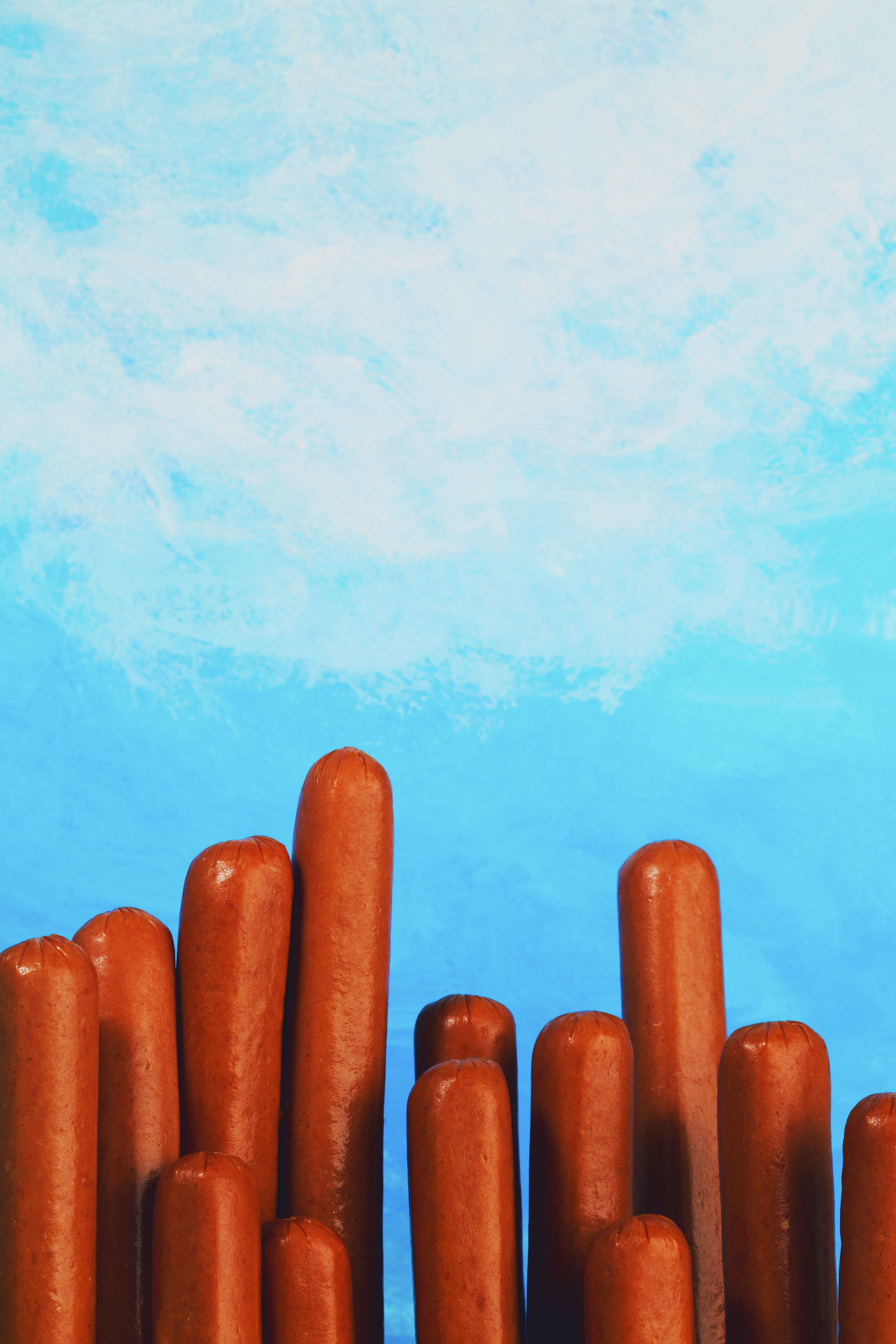 HotDog_City_2.jpg