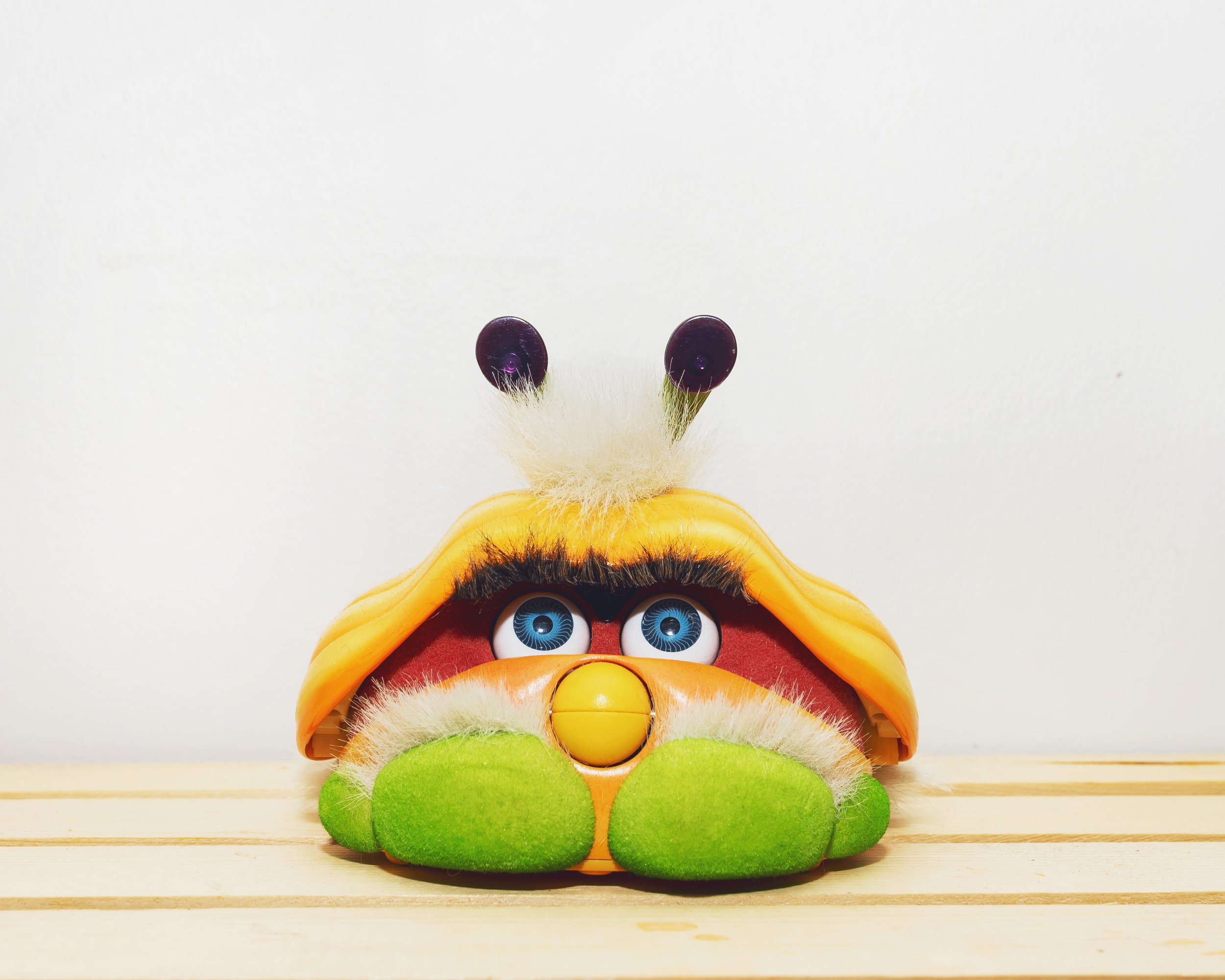Elizabeth_Furby_Collection_2022_8.jpg
