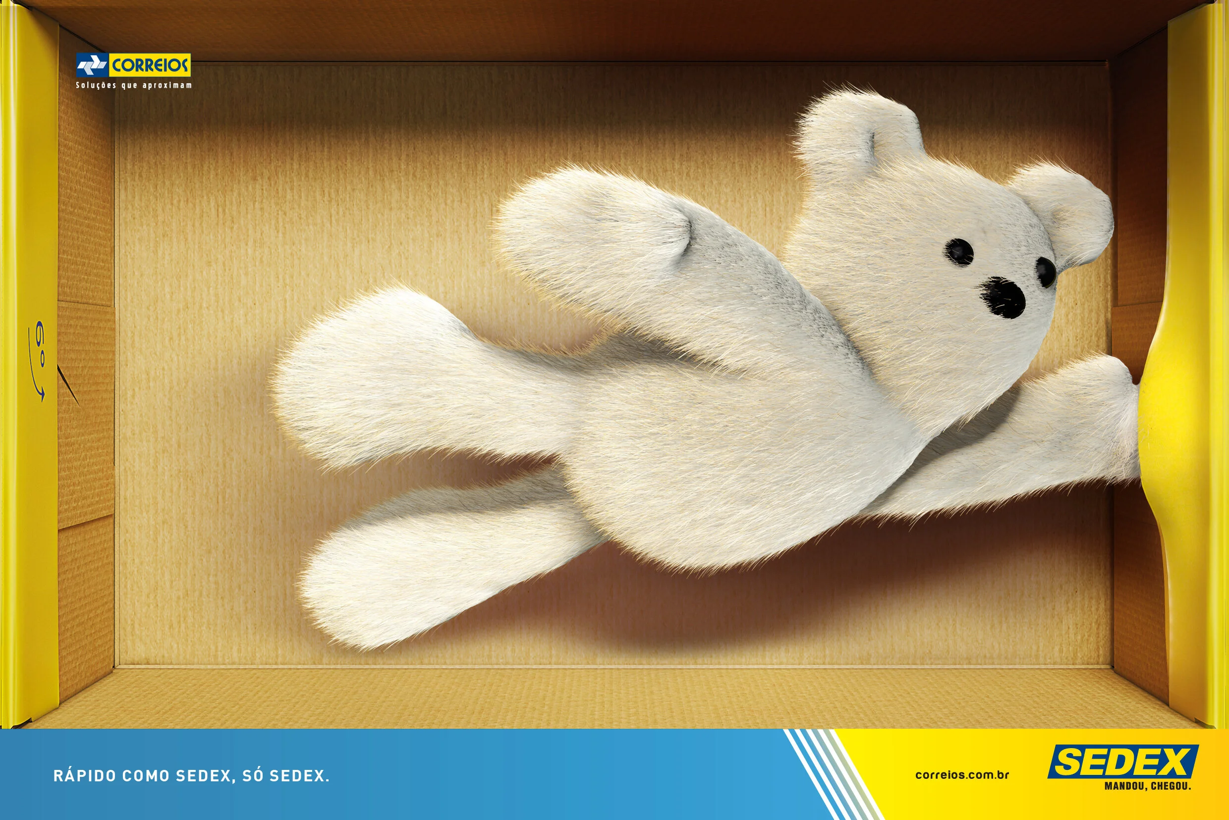 an_caixa_urso.jpg