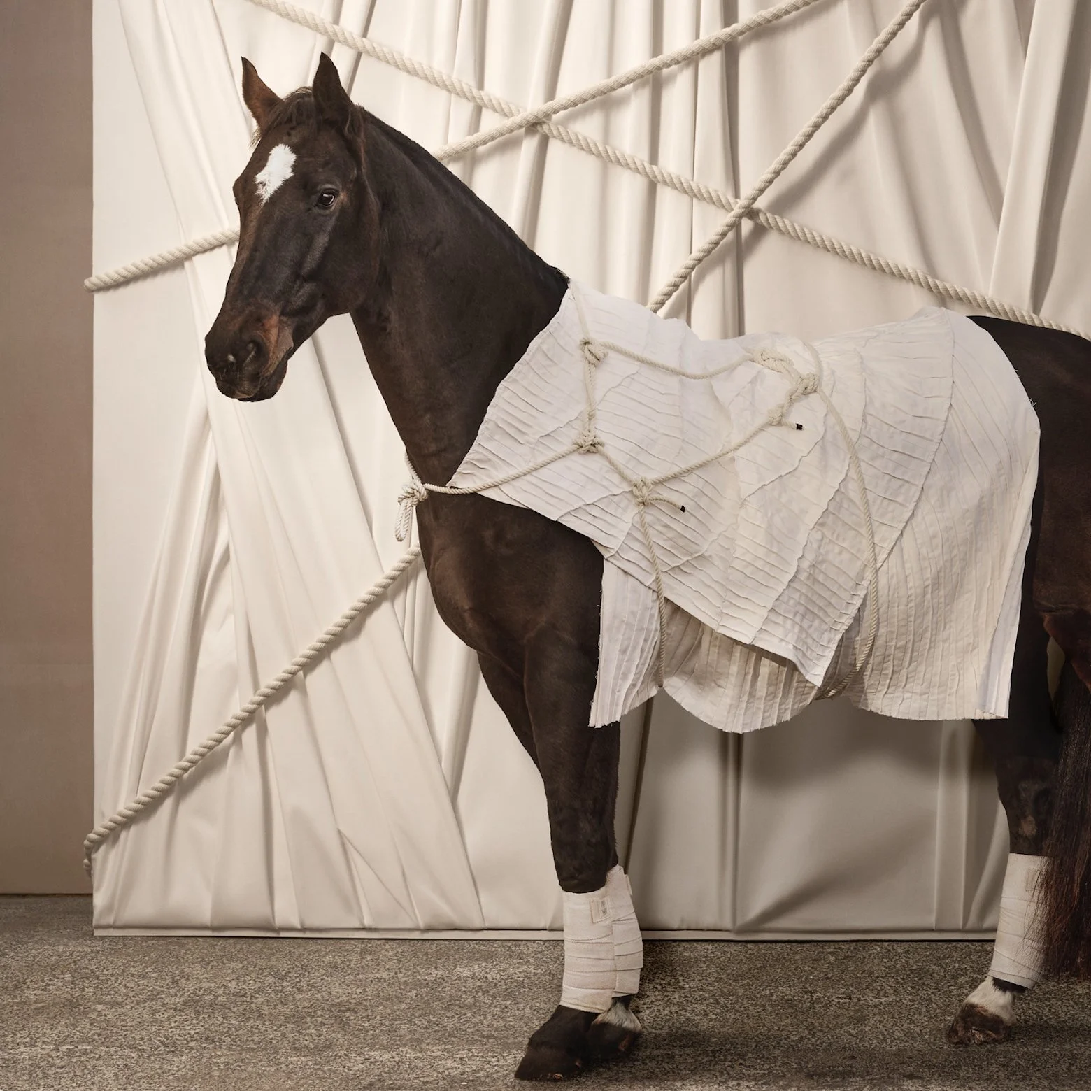 1 Squarehorse horse detail 2.jpg