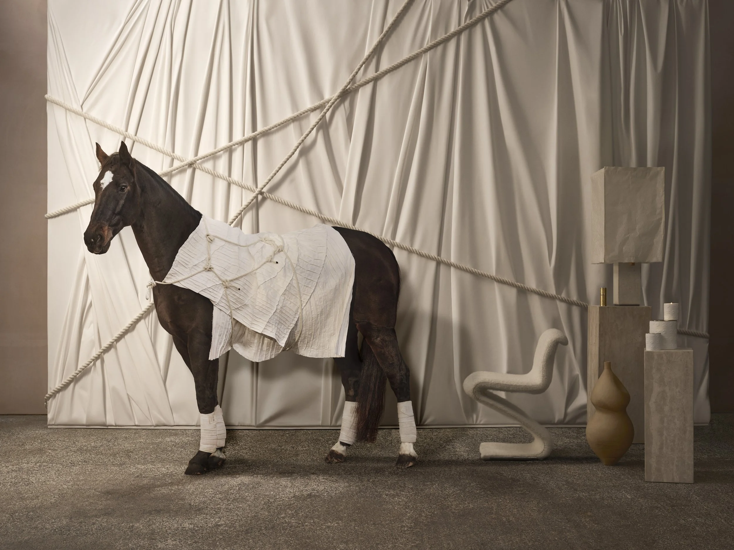 HORSE_PLATE_101_HERO_ef_V1.jpg