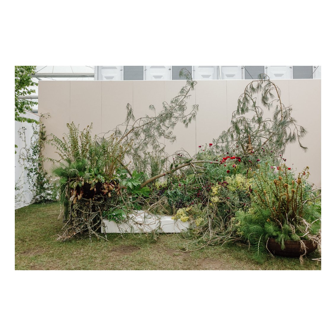 EmilyT 01GRID.jpg