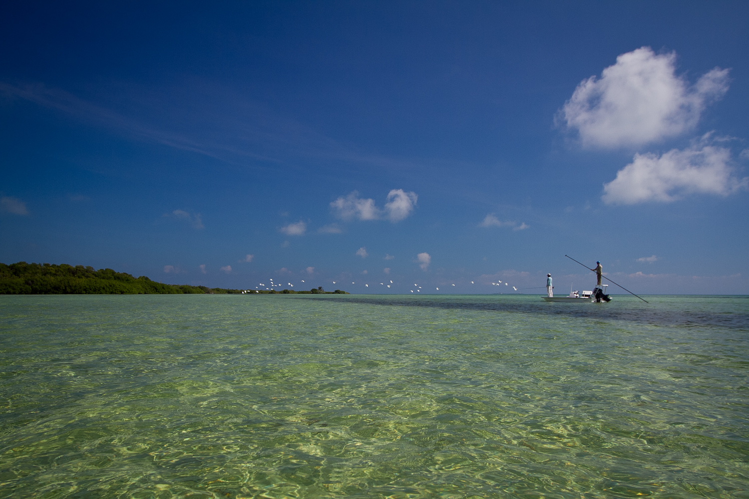 One of the flats where we caught a Permit, and saw many others.