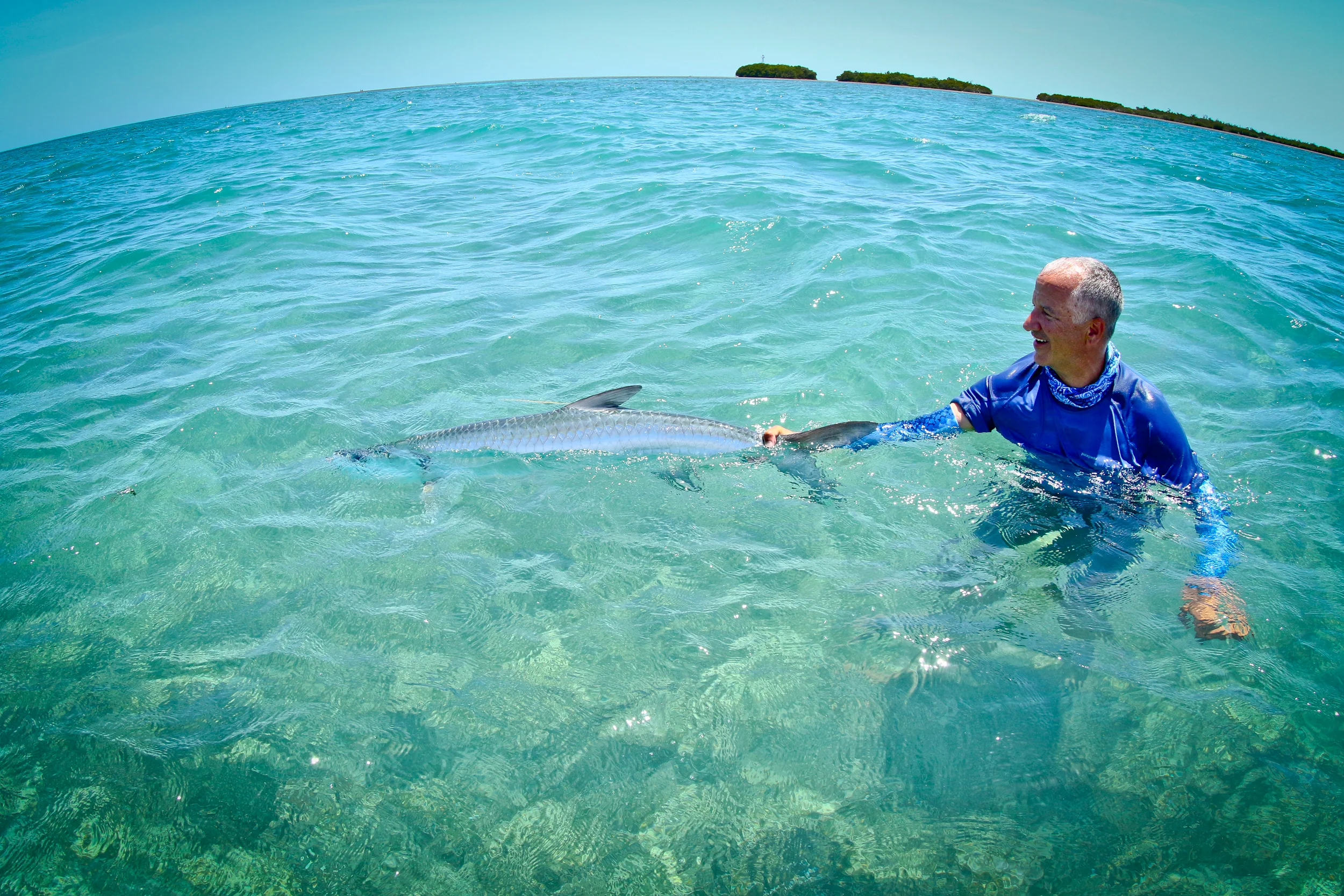 A nice fish of about 40 pounds getting released at Punta del Este.