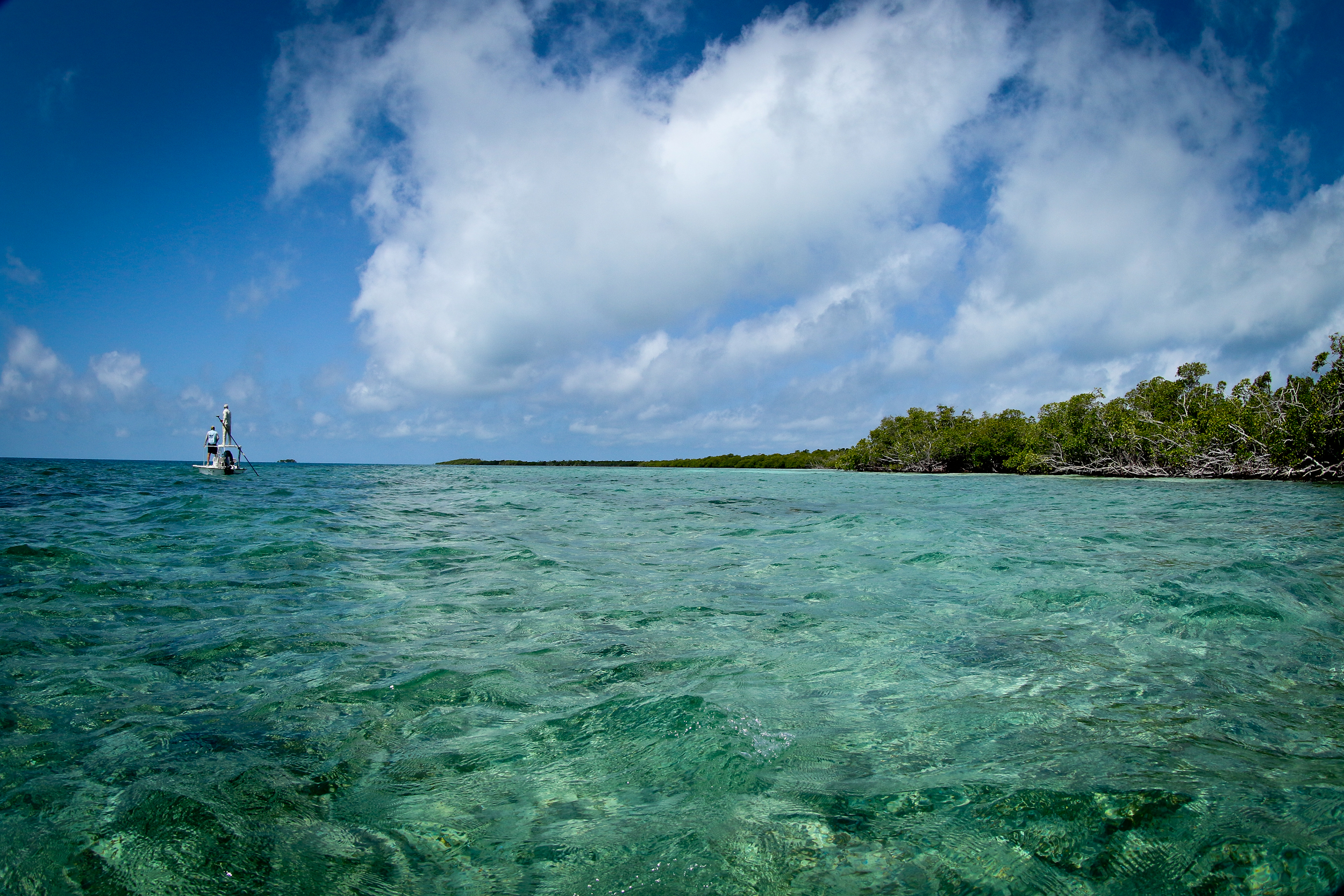 Epic, epic Permit water.