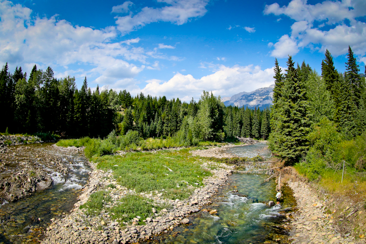 Tributary of the Elk River