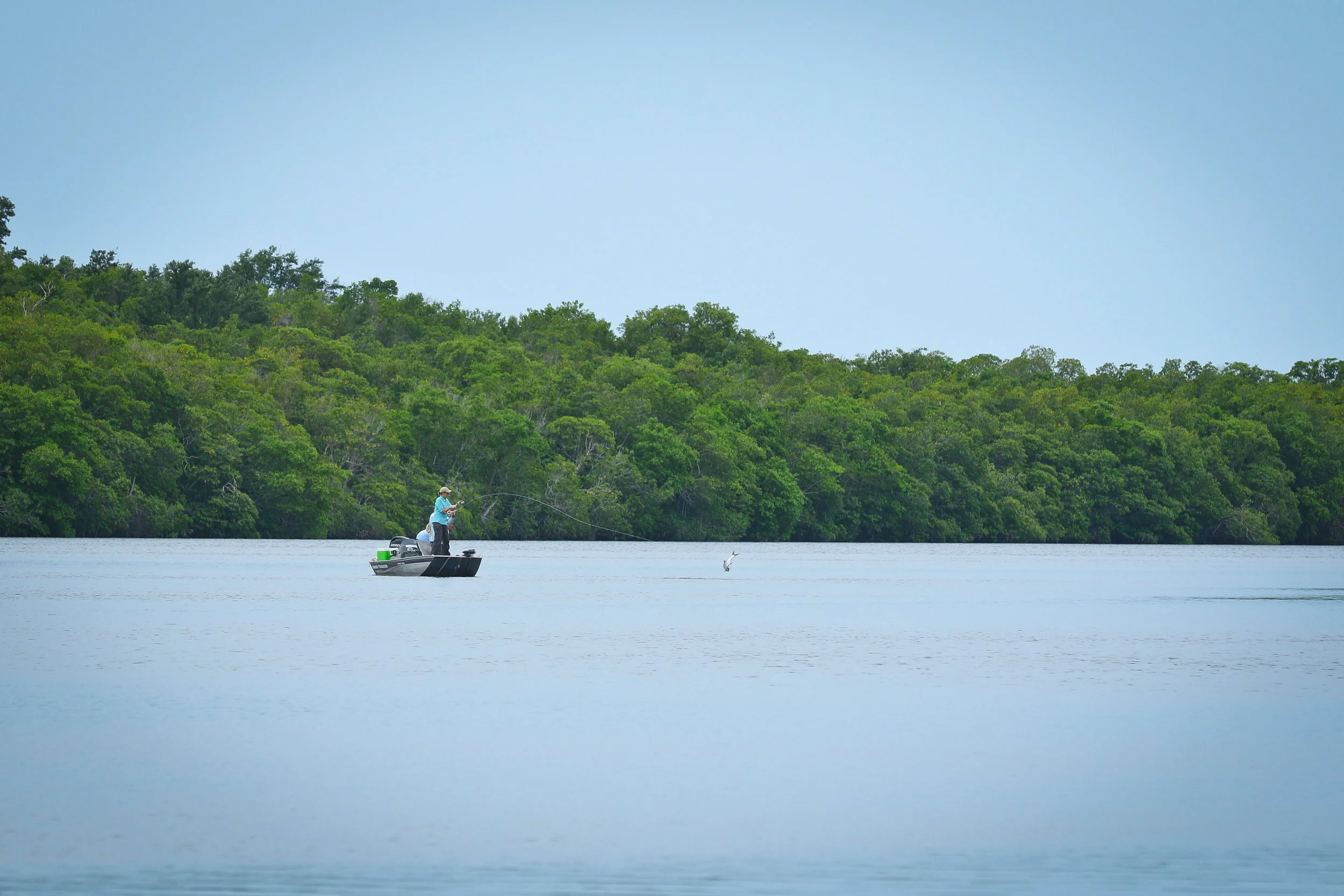 Lucky's first ever Tarpon.....jumped in the Rio Hatiguanico