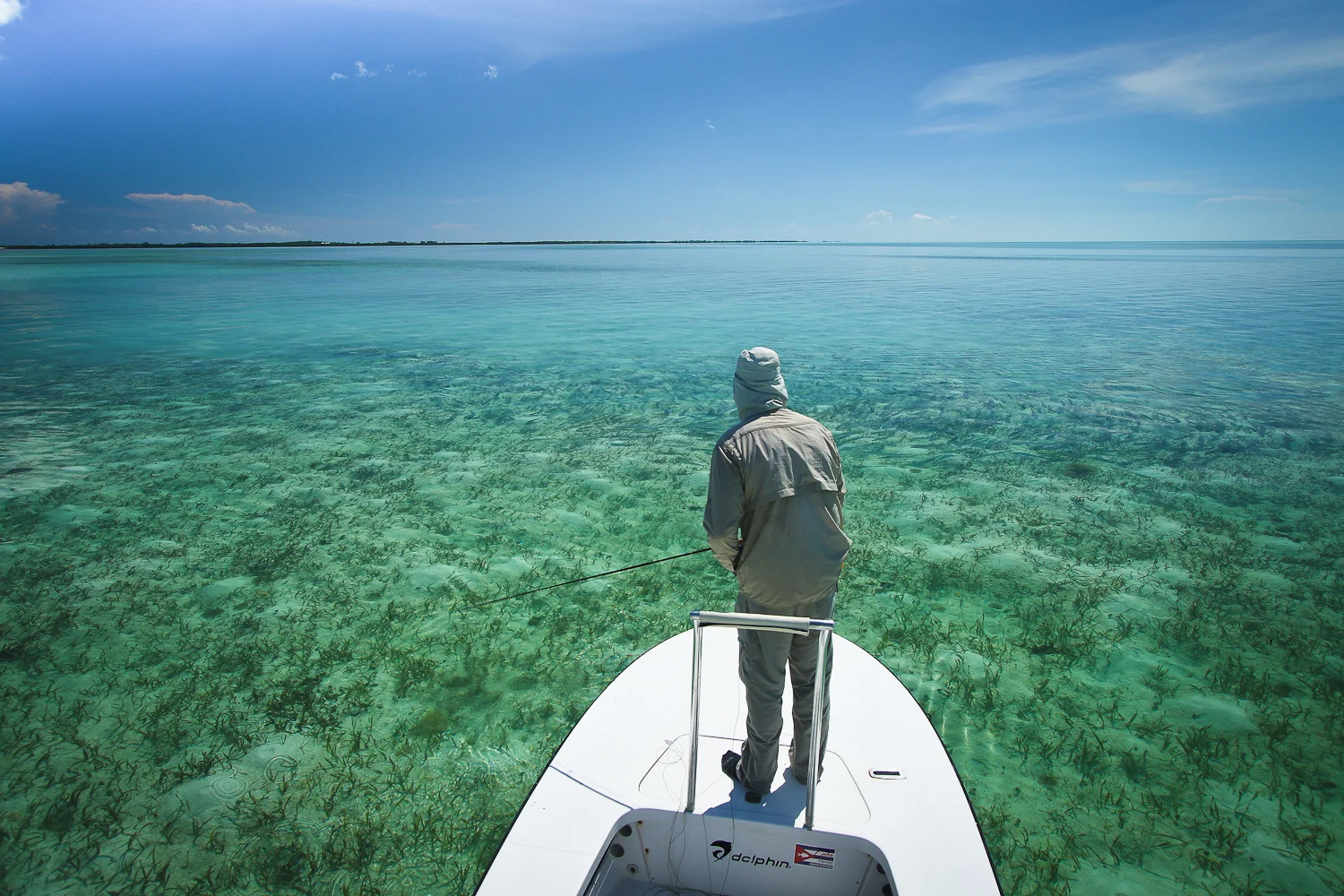School of Bonefish on approach