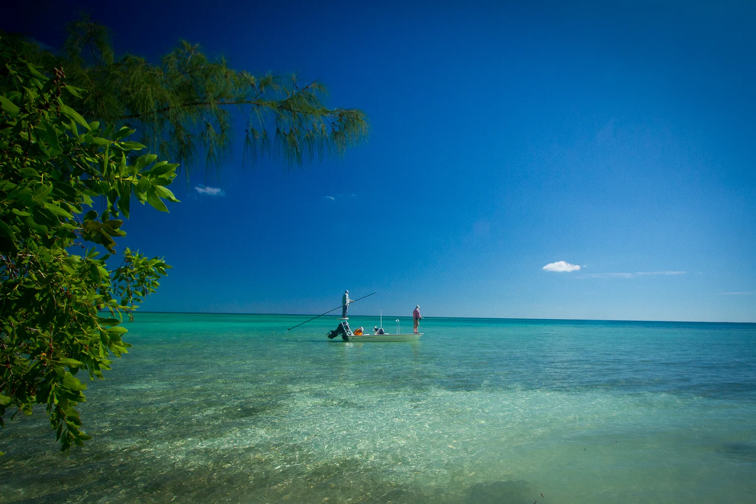 Flats skiff at Zapata