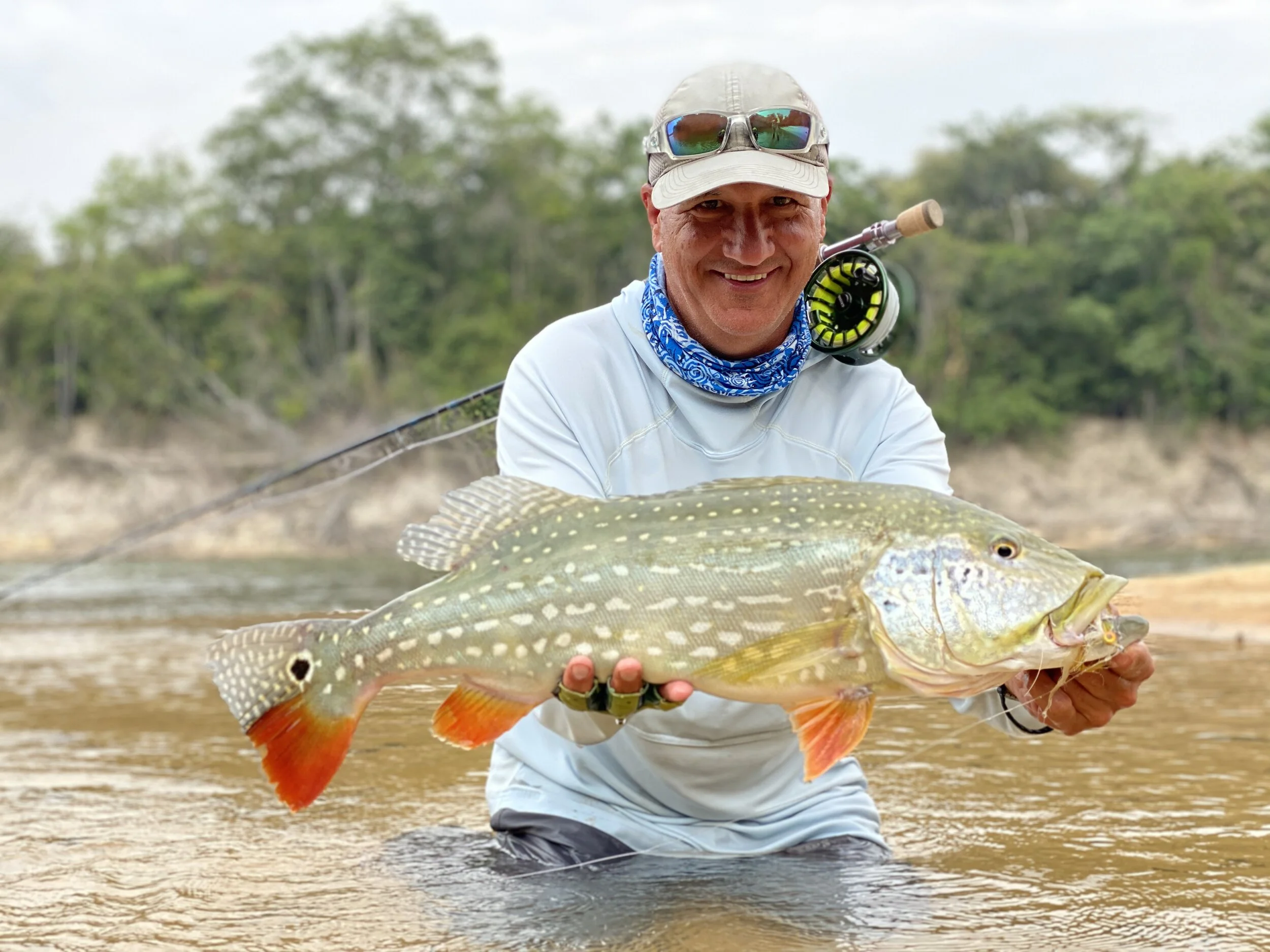 COLOMBIA - Peacock Bass: