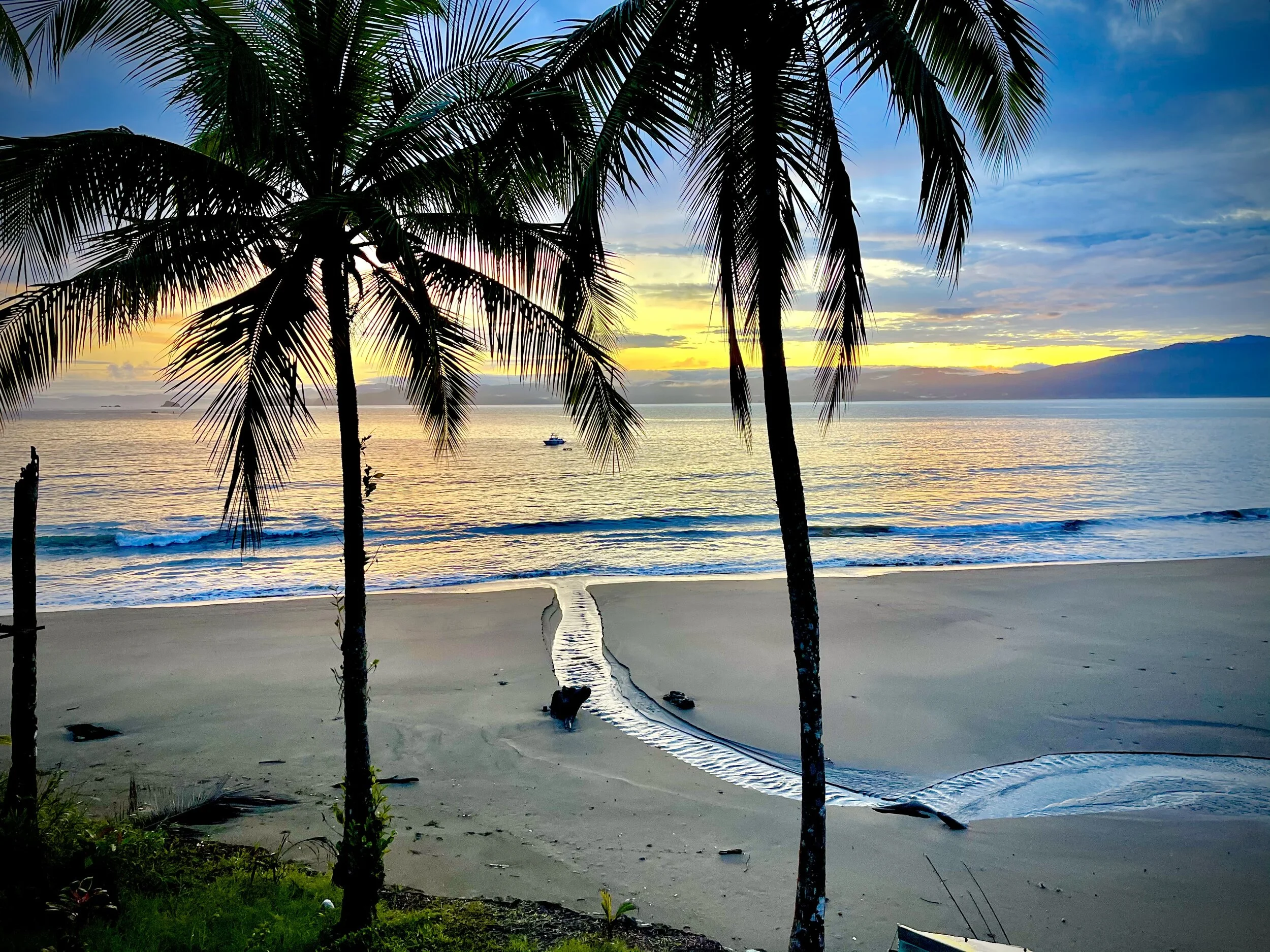 BLACK SANDS, COLOMBIA - TRIP REPORT