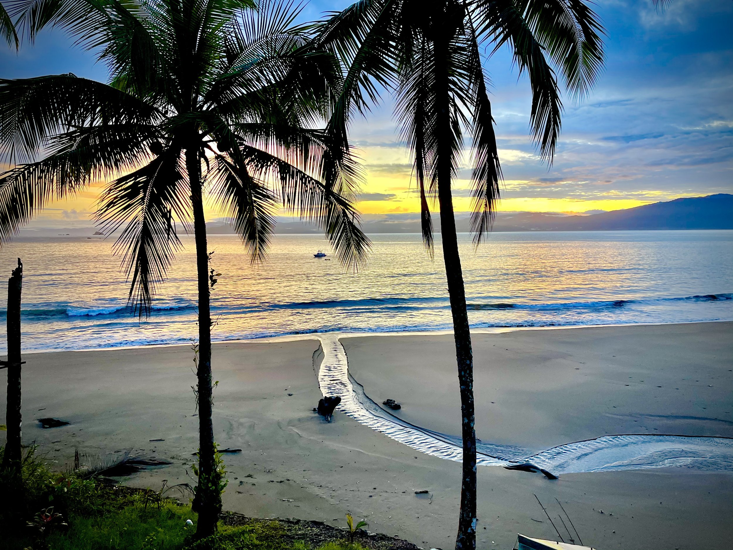 2 Openings - Black Sands, Colombia