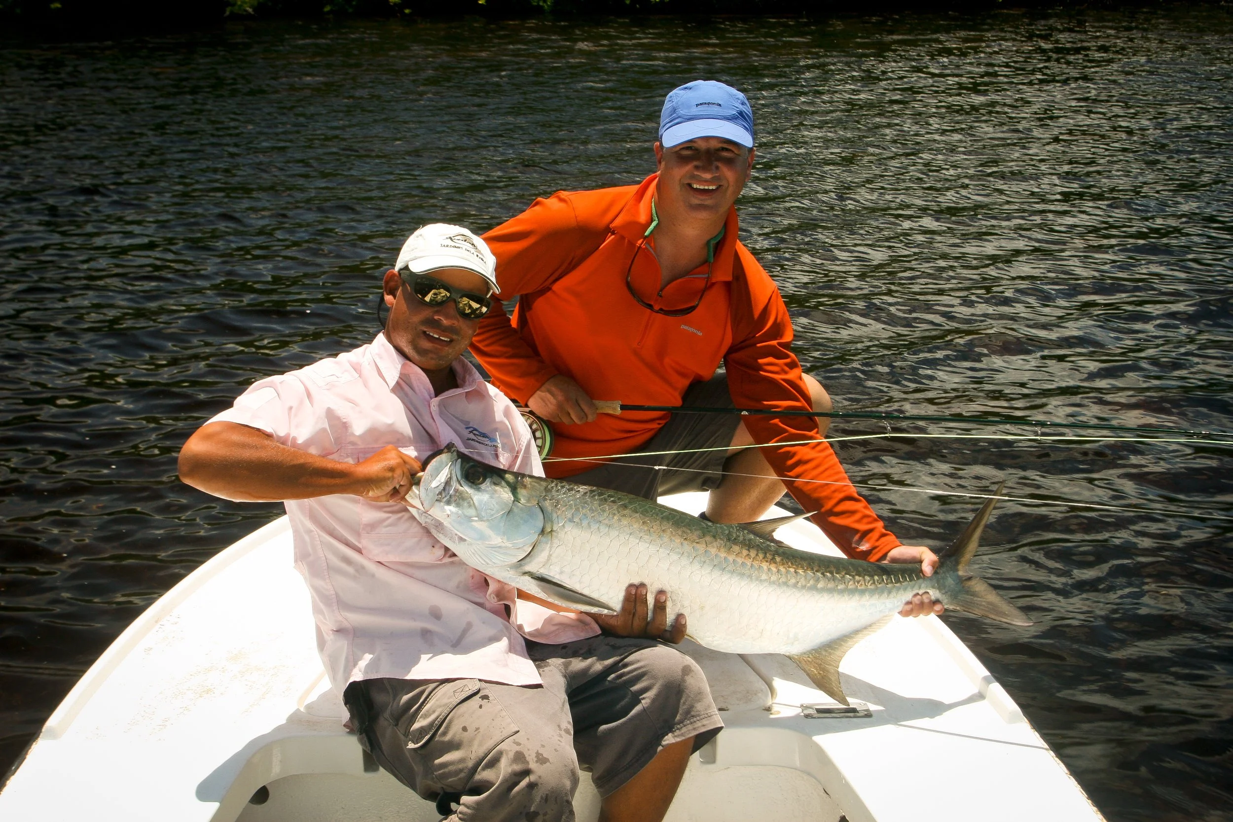 NEW TRIP- GREAT OFFER