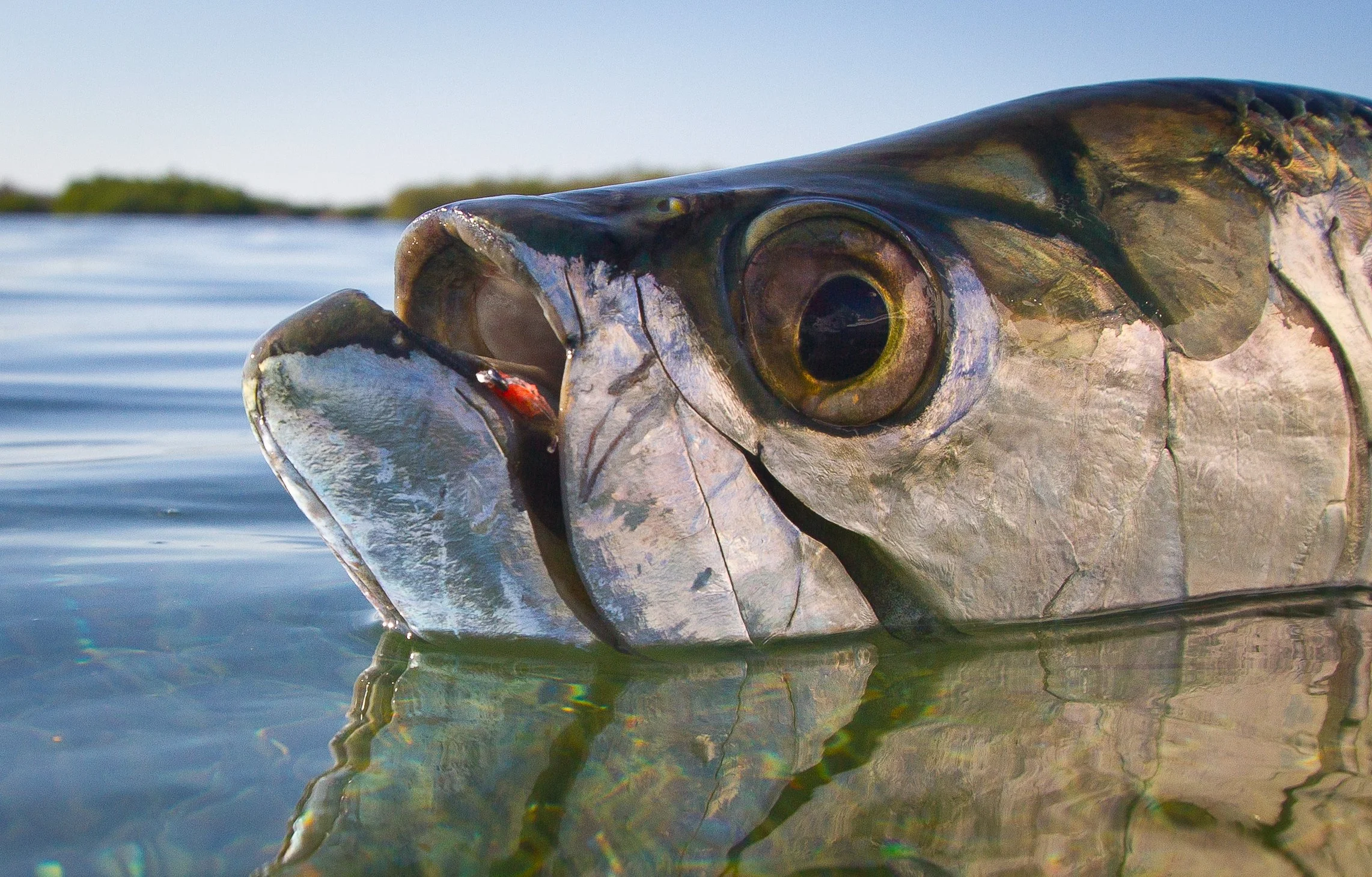 3 SPOTS HAVE OPENED UP! Cuba-2024