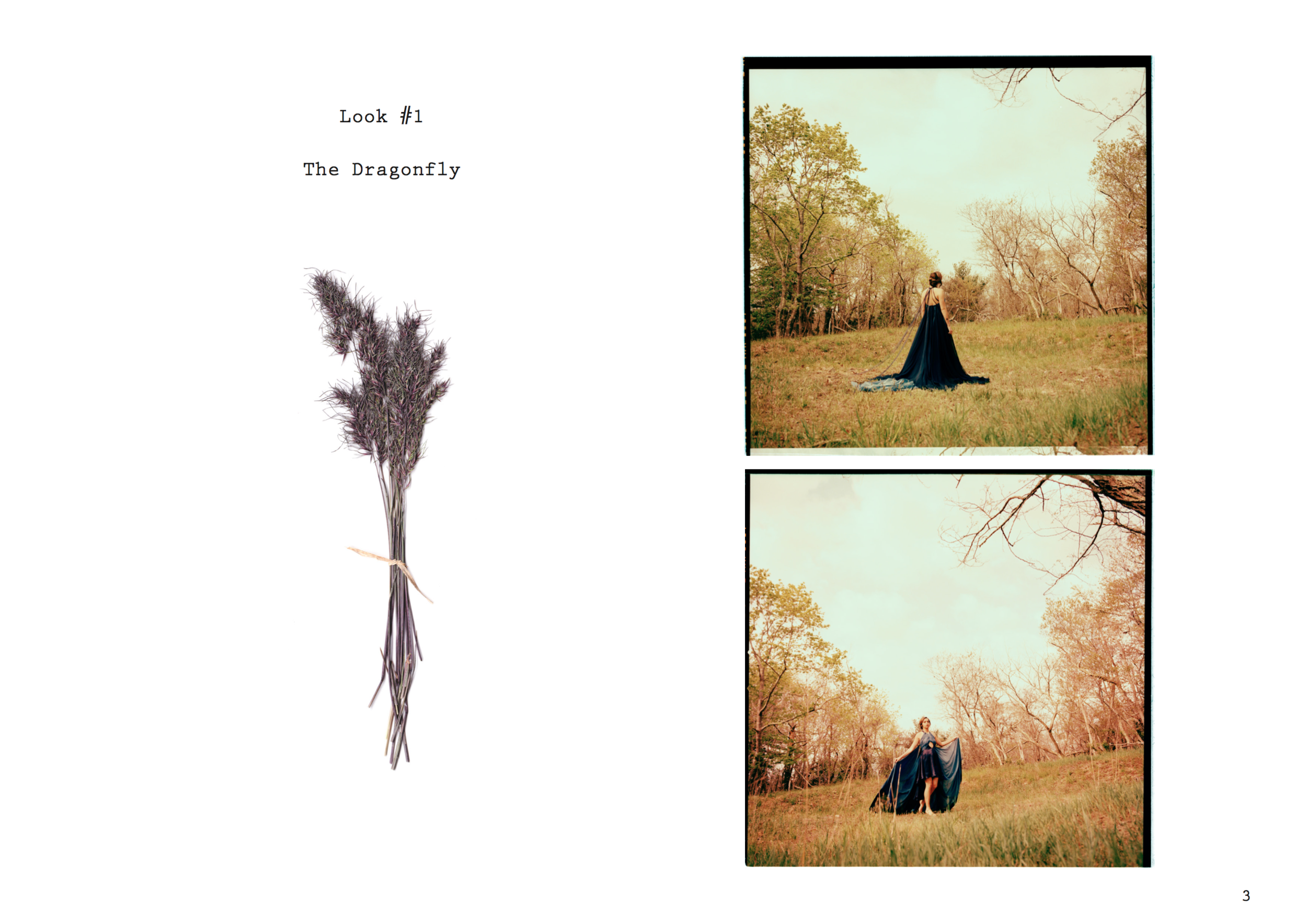 Screen Shot 2017-06-08 at 2.04.02 PM.png