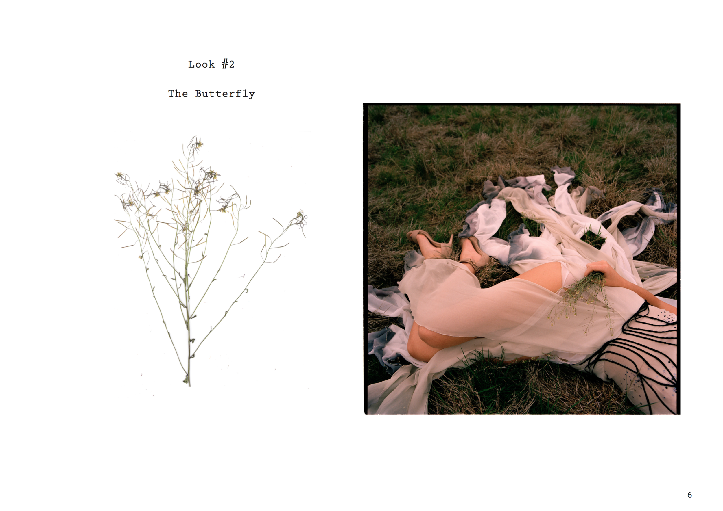 Screen Shot 2017-06-08 at 2.04.45 PM.png