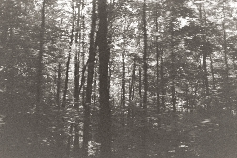  Vermont, Untitled Vol. 1 