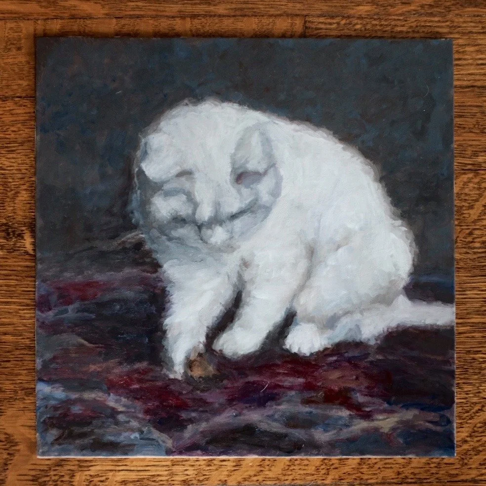  WHITE CAT II, 2020  12”12” CANVAS PANEL 