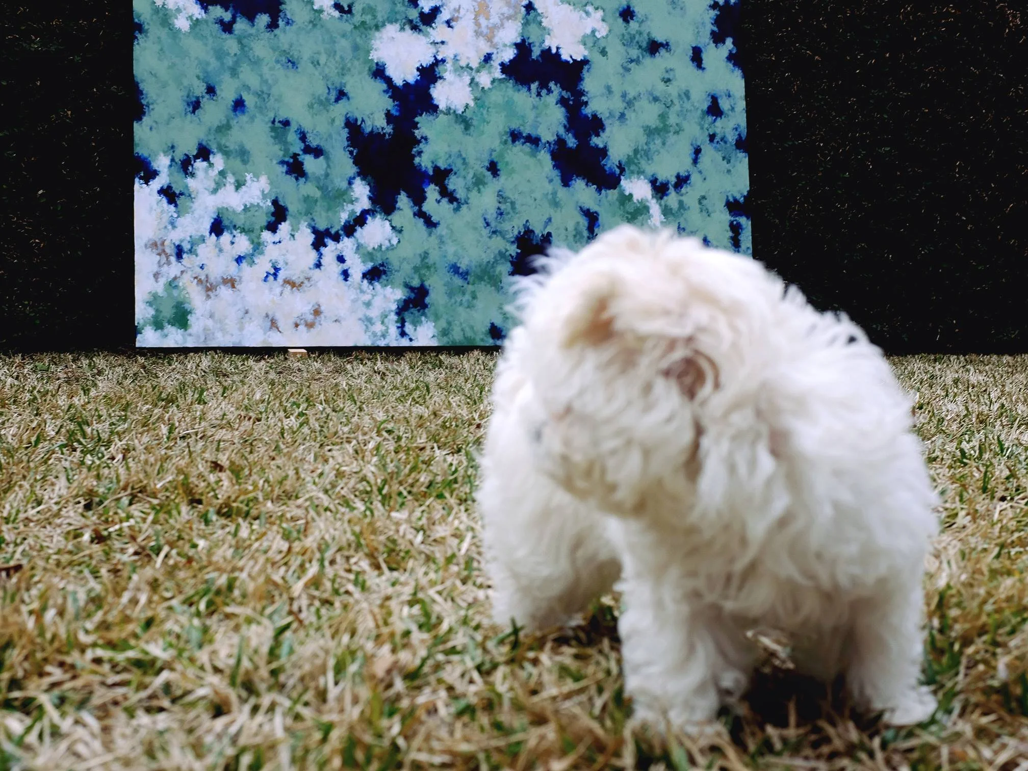  UNTITLED, 2018  54” x 84”  