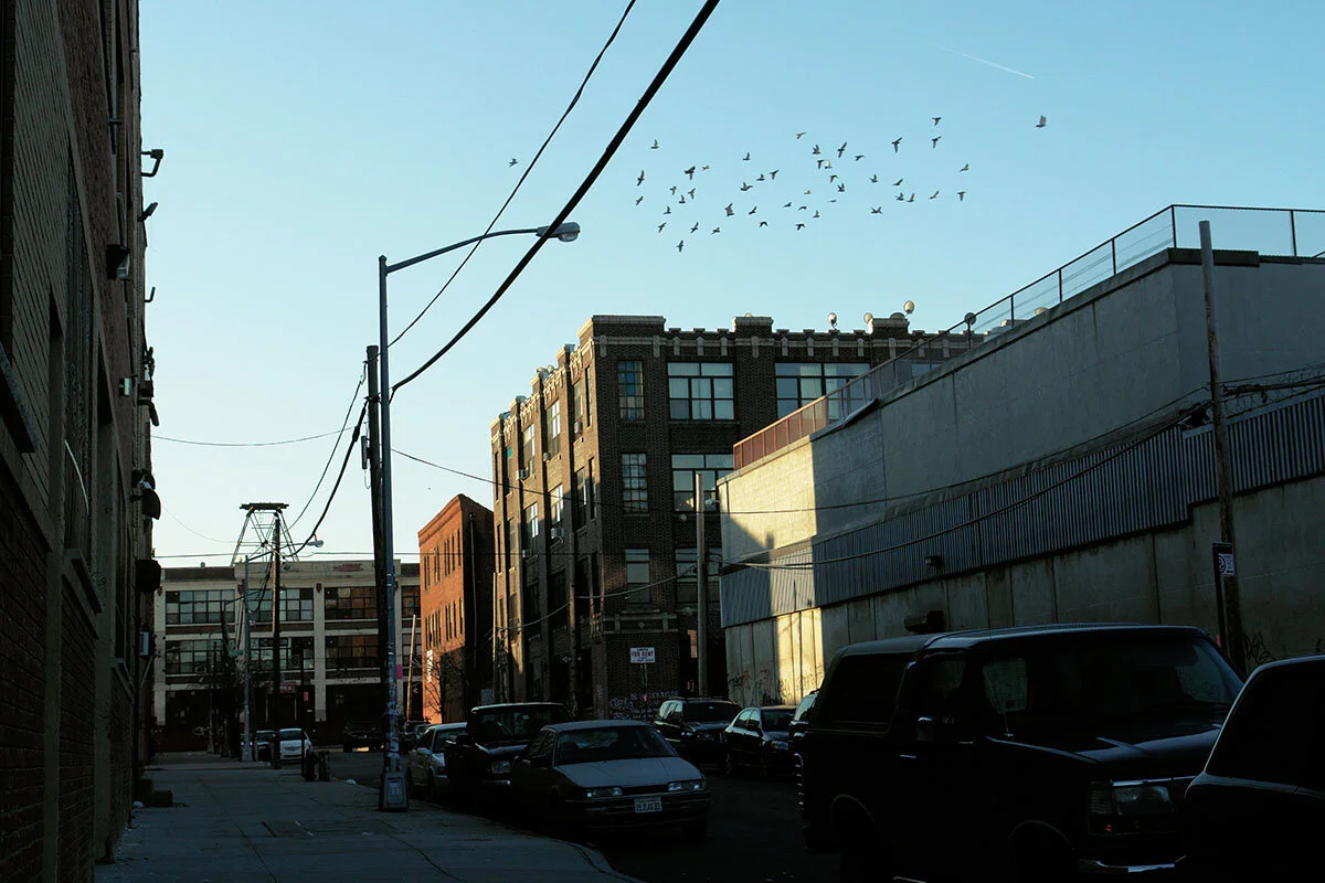 MartinaSchlueter_NYC0.jpg