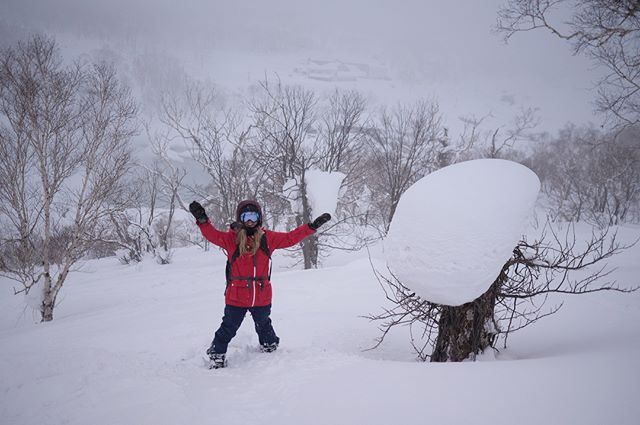 Hot laps all day with @thehouseofpowder ❄️🙏 What a great experience!! If you are planning on visiting the Hokkaidō region of the north island of japan during winter, these guys provide amazing experiences ❤️ Did I mention there is an #onsen ; a natu