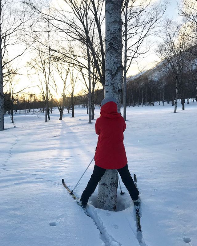 Hug a tree #treehugger ❤️ #bprsnt #PRSNT | P: @kjerstibuaas