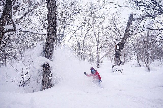 Lets continue to #protectourwinters so we can keep surfing snow 🙏. Tag a friend you love to surf with! Thank you for having us 🇯🇵 .... 📷 @kjerstibuaas .
.
.
#niseko #japow #snowboarding #hokkaido #japan #snowboard #nisekoshootout #snowboarder #po