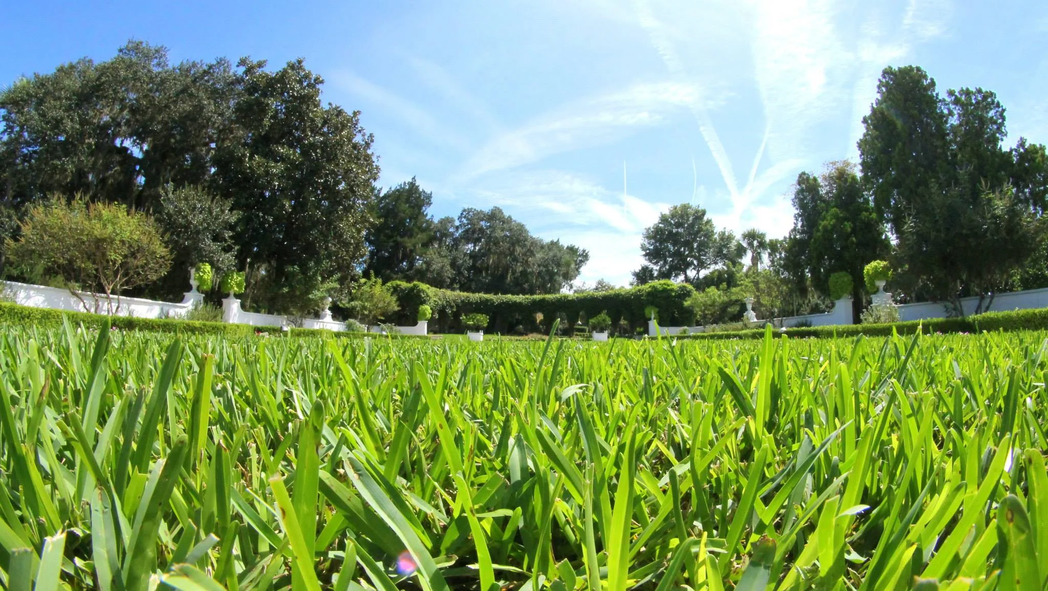 llm landscape 1.jpg