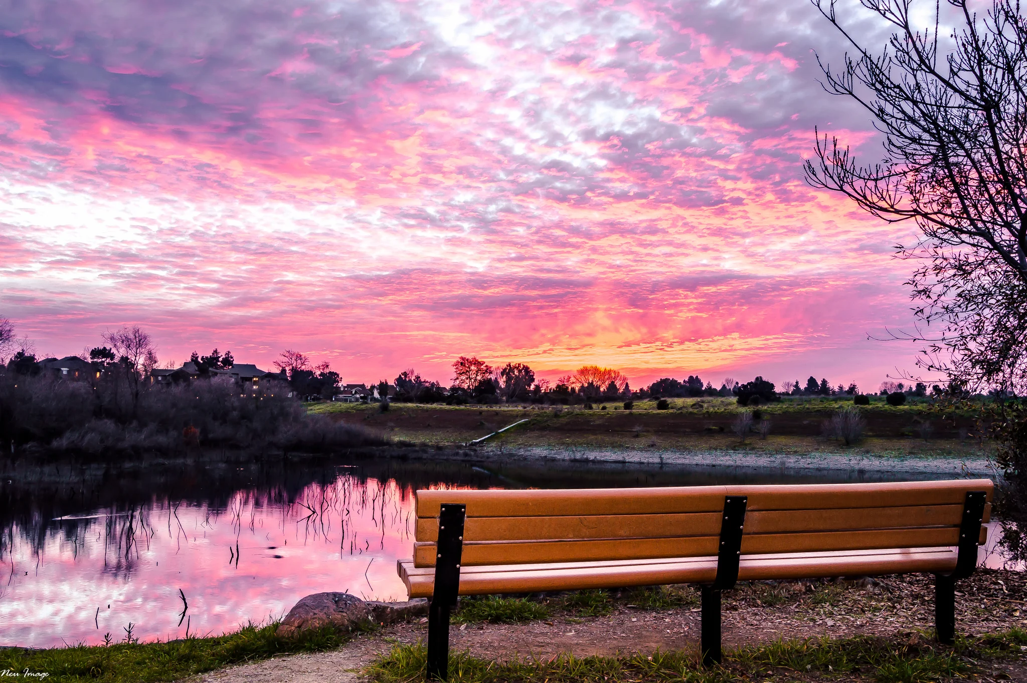 bench sunset 1-26-15.jpg