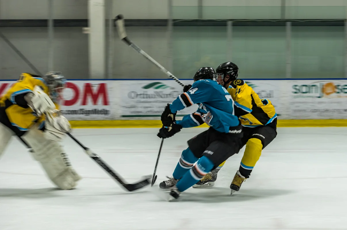 SJ JR Sharks