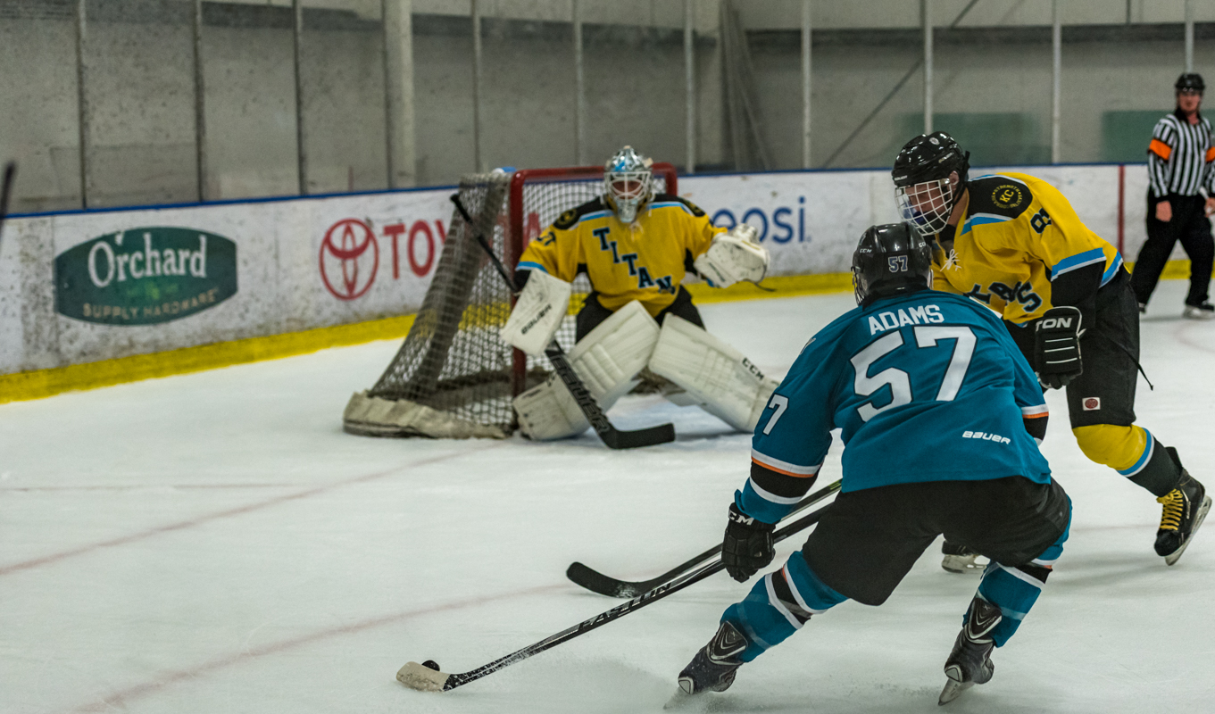 Jr Sharks day 2-4.jpg